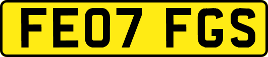 FE07FGS