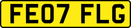 FE07FLG