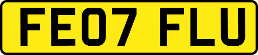 FE07FLU