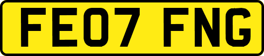 FE07FNG