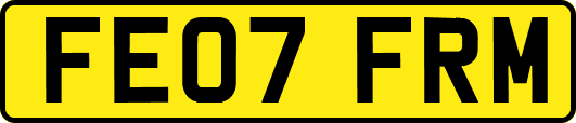 FE07FRM