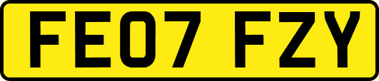 FE07FZY