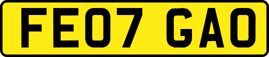 FE07GAO