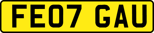 FE07GAU