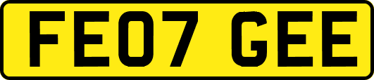 FE07GEE