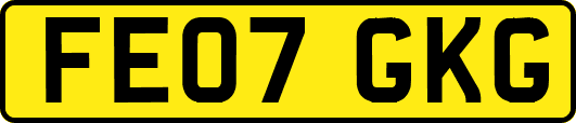 FE07GKG
