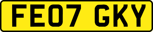 FE07GKY