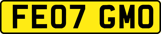 FE07GMO