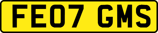 FE07GMS