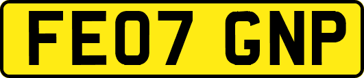 FE07GNP
