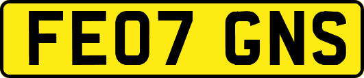 FE07GNS