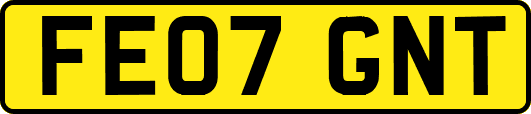 FE07GNT