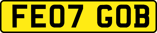 FE07GOB