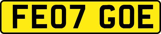 FE07GOE