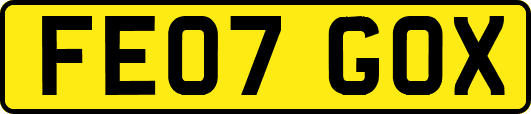 FE07GOX