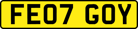 FE07GOY
