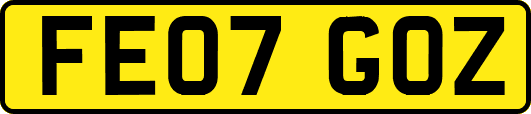 FE07GOZ