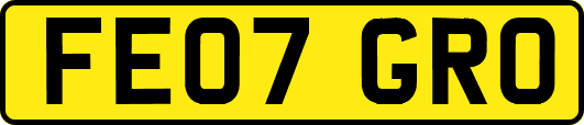 FE07GRO