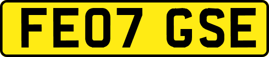 FE07GSE