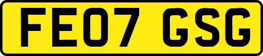 FE07GSG
