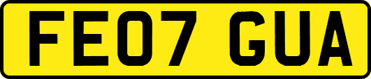 FE07GUA