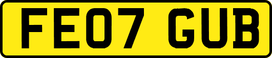 FE07GUB