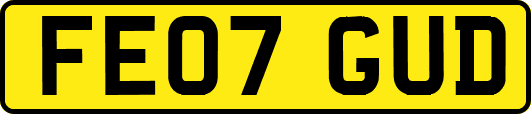 FE07GUD