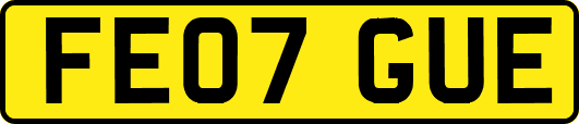 FE07GUE