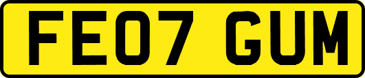 FE07GUM