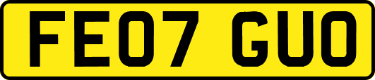 FE07GUO