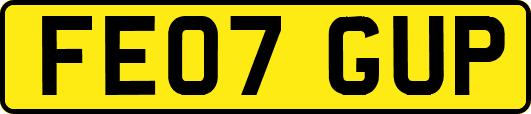 FE07GUP