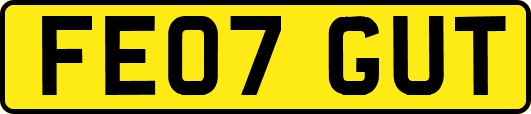 FE07GUT
