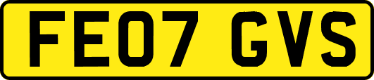 FE07GVS