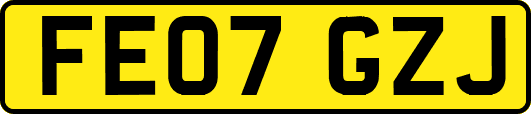 FE07GZJ