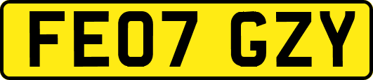 FE07GZY