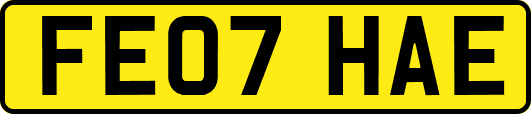 FE07HAE