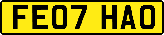 FE07HAO