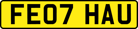 FE07HAU