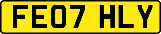 FE07HLY