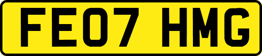 FE07HMG