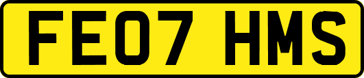 FE07HMS