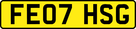 FE07HSG