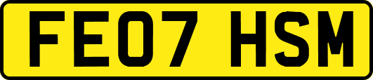 FE07HSM