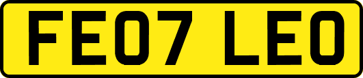 FE07LEO
