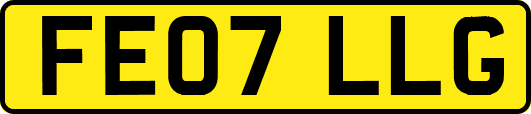 FE07LLG
