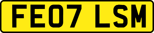 FE07LSM