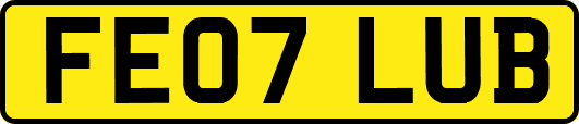 FE07LUB