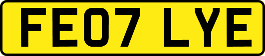 FE07LYE