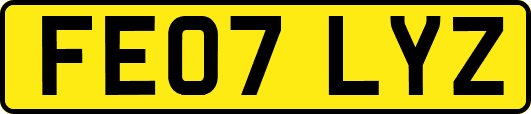 FE07LYZ