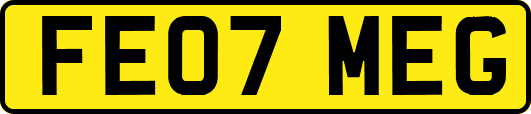 FE07MEG